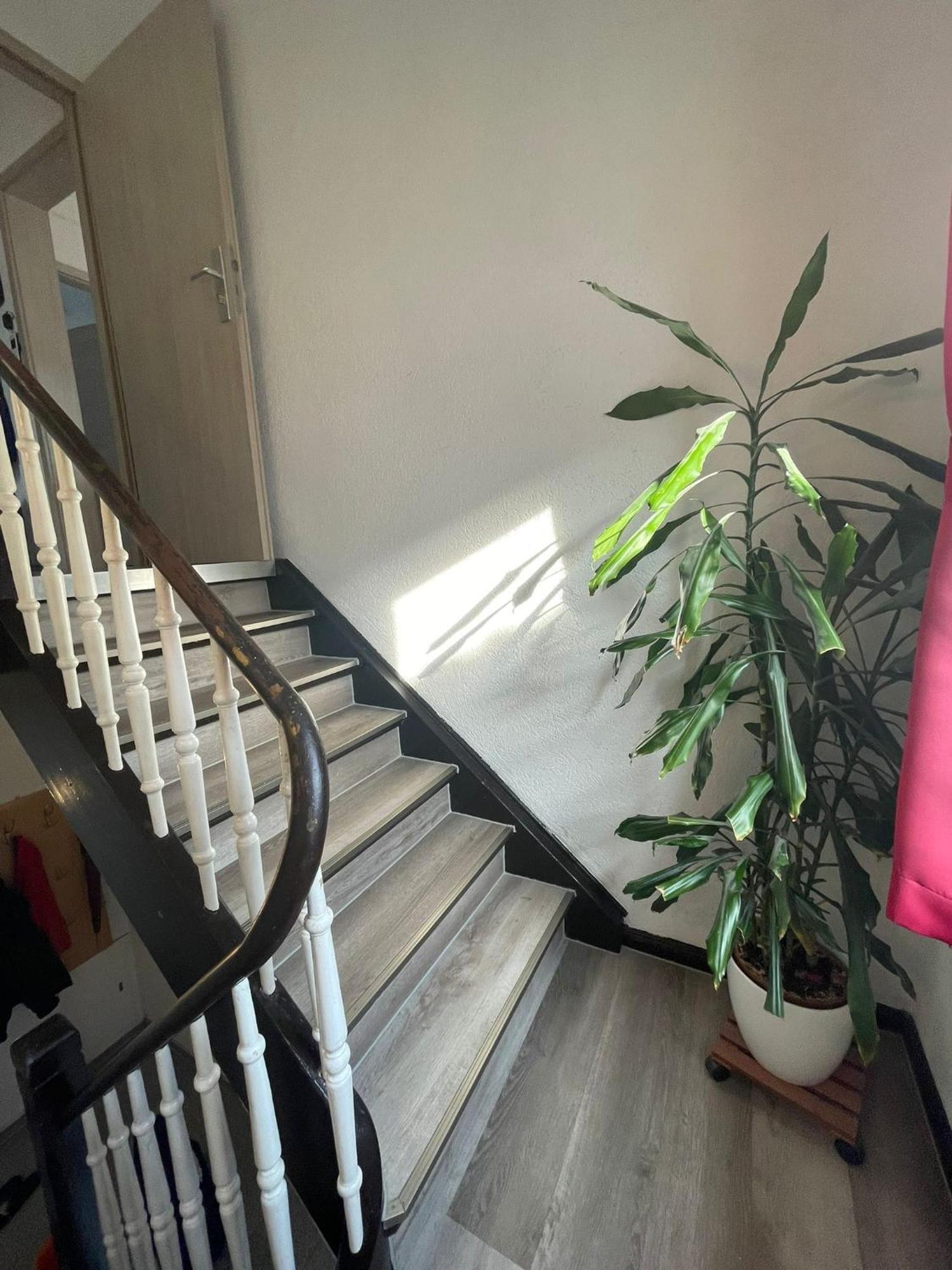 Leo Apartment Zentrum Rüsselsheim Zewnętrze zdjęcie